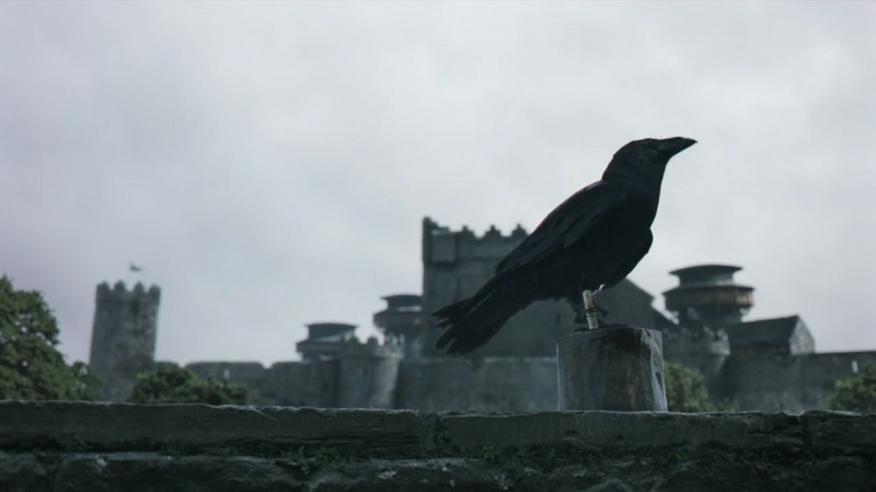 پرونده:Raven HBO.jpg